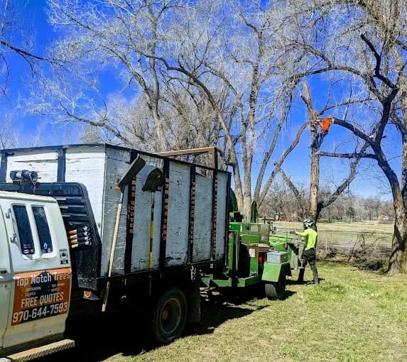 Top Notch Trees crew and service truck in Grand Junction